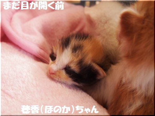 2012091303.jpg