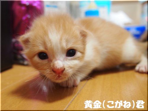 2012091406.jpg