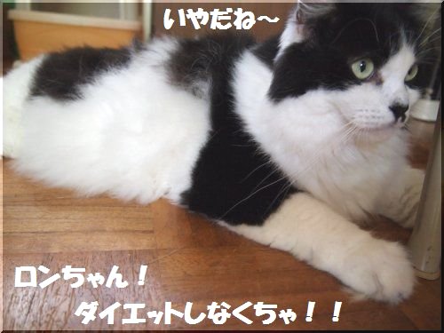 2012091506.jpg