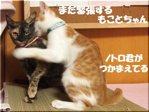 2012092103.jpg
