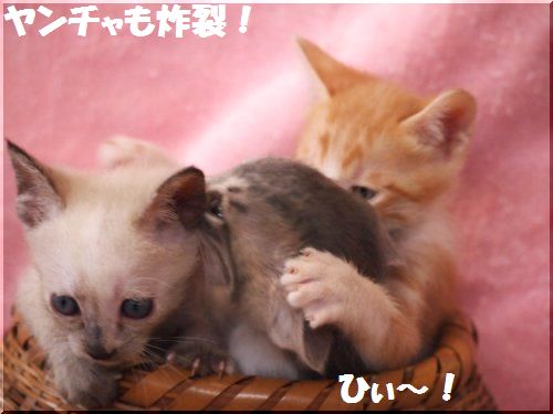 2012092303.jpg