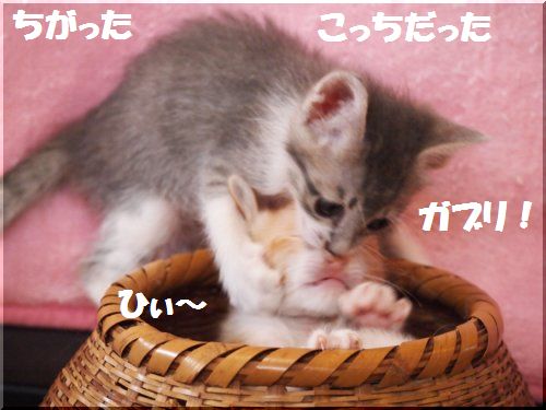 2012092305.jpg