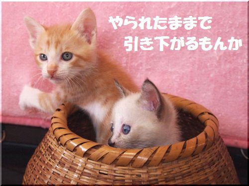 2012092307.jpg