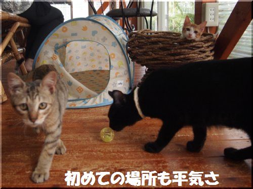 2012092504.jpg
