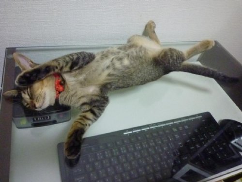 20120927.jpg