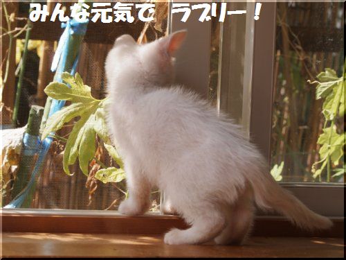 2012101107.jpg