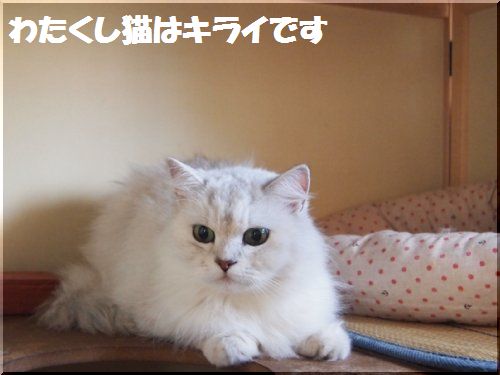 2012101202.jpg