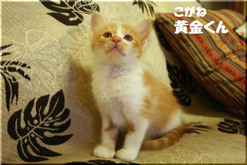 2012101303.jpg
