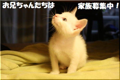 2012101306.jpg