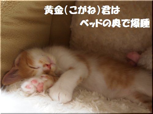 2012102104.jpg