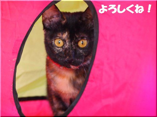 2012102308.jpg