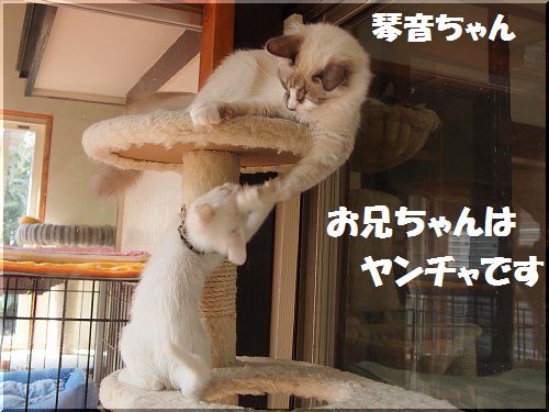 2012102603.jpg