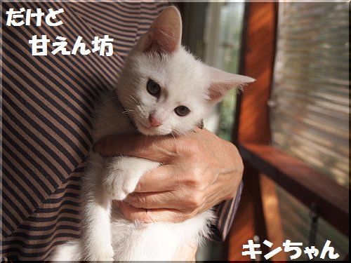 2012102604.jpg