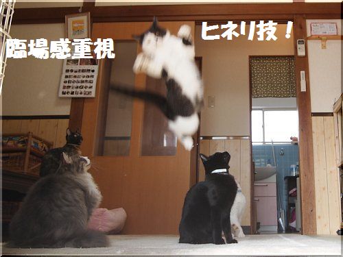 2012111706.jpg
