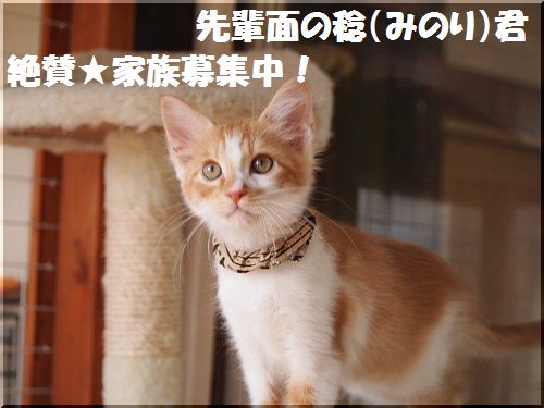 2012112308.jpg