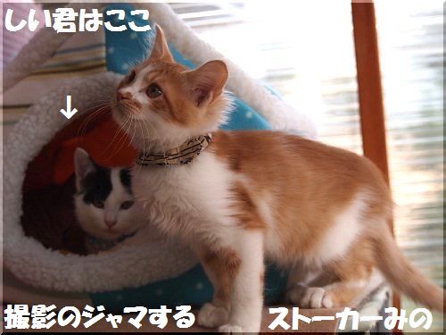 2012120504.jpg