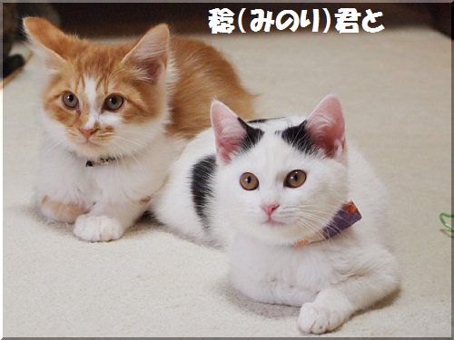 2012120804.jpg