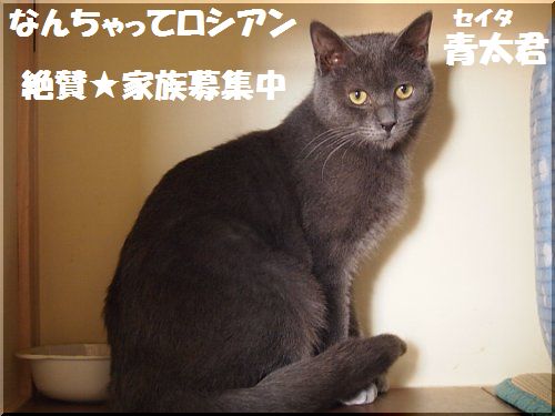 2012121606.jpg
