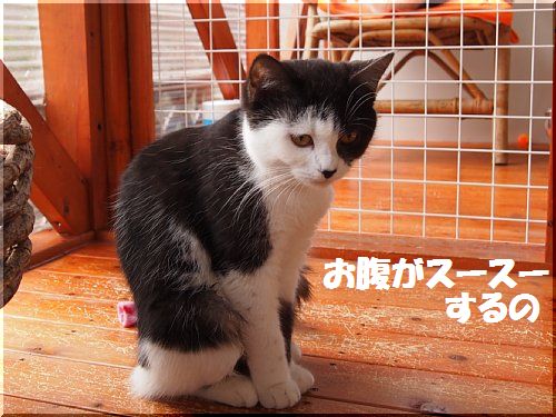 2012122604.jpg