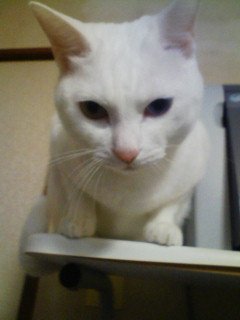 2012123011.jpg