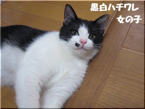 2013010706.jpg