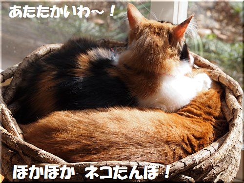 2013011106.jpg