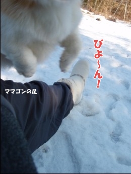 20130115 16p