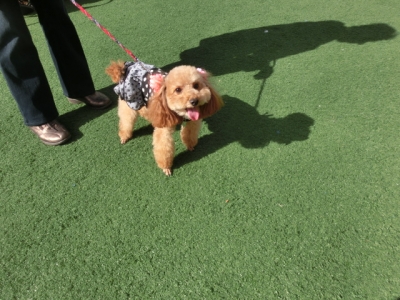 CIMG0040_201411060757208b5.jpg