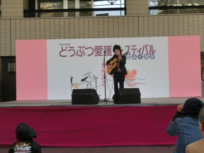 CIMG0049_20141106080613ad0.jpg