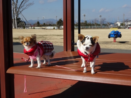 広い公園