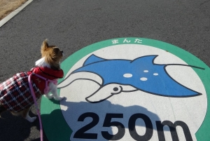 まんた