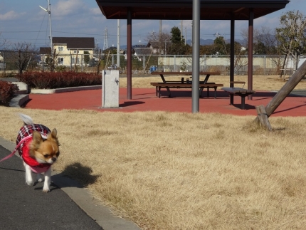 てくてく