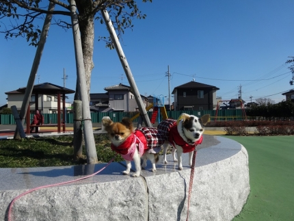 新しい公園