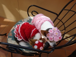 かわいい