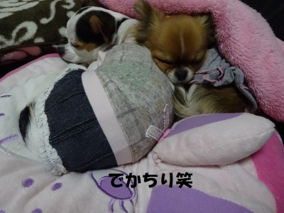 ねむねむzzz
