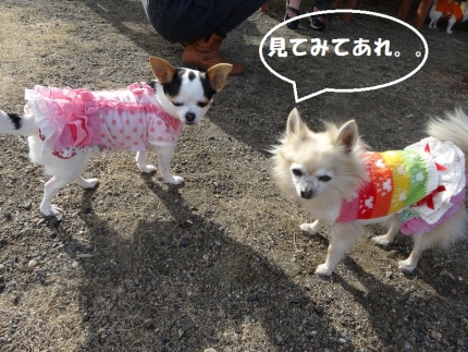 しら~っ