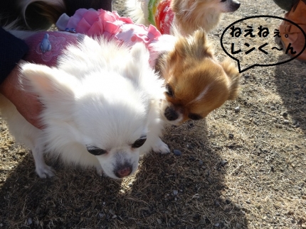 ねえねえ