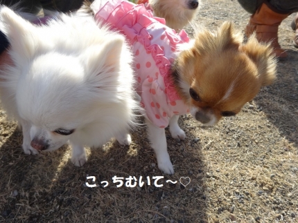 こっちむいて~