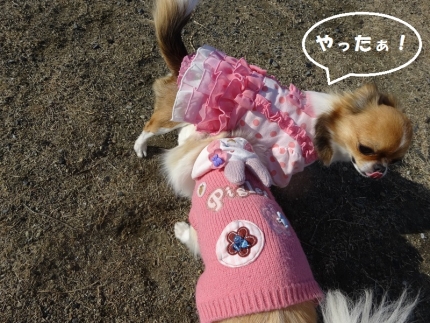 しめしめ
