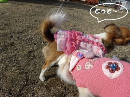 どうぞ~