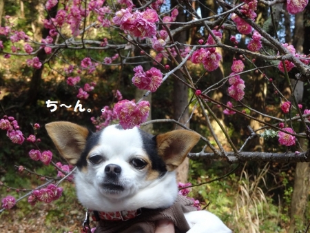 ち~ん。。