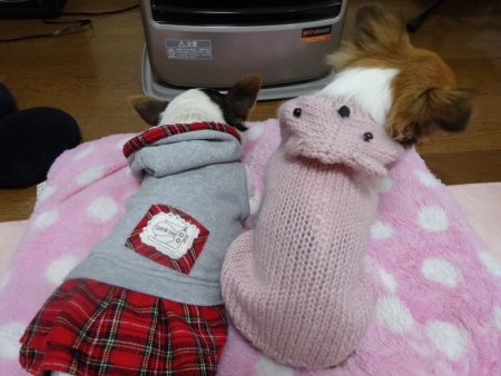 ヒーター前で