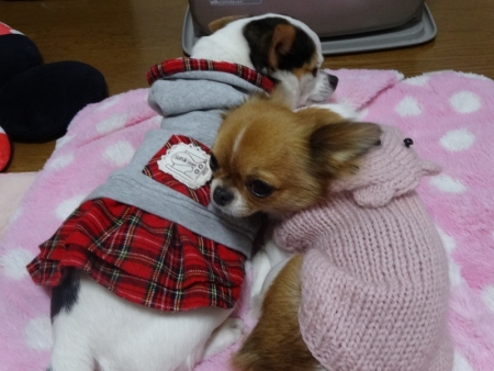ぬくぬく