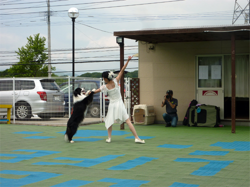 P1130518.jpg