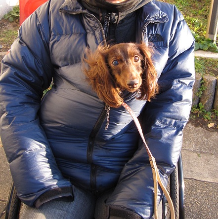 2011111801.jpg