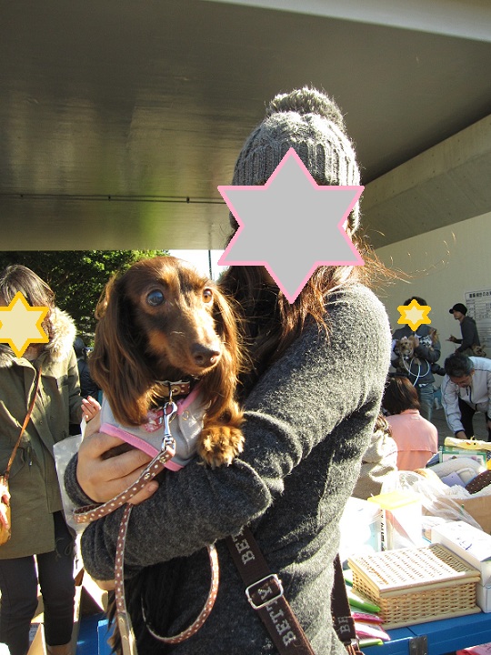 2011111802.jpg