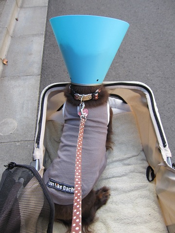 2012102917.jpg