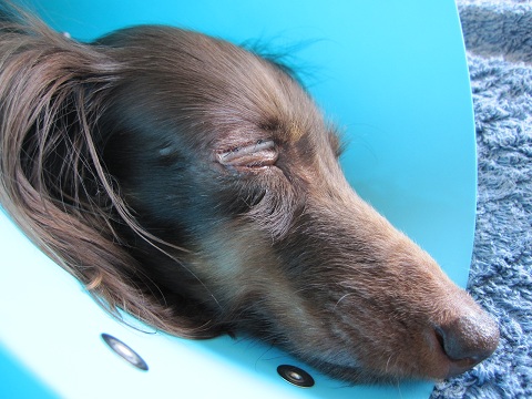 2012102918.jpg