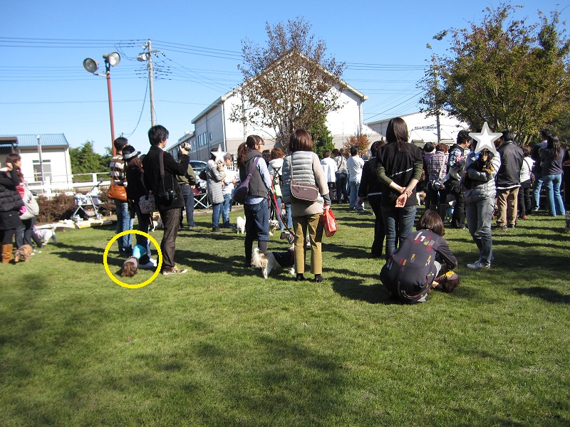 2012110402.jpg
