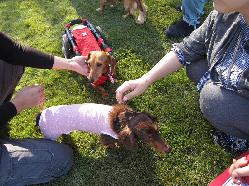 2012110403.jpg